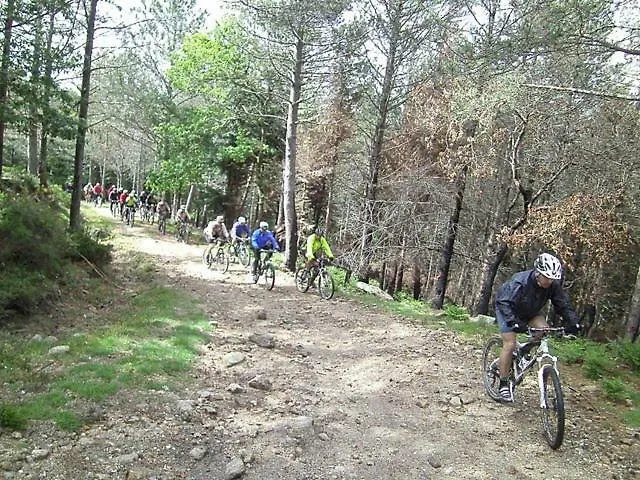 Casa Ferreira Vendégház Góis